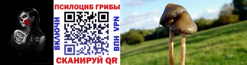 как найти закладки  мега ССЫЛКА  Галлюциногенные грибы прущие грибы  Нолинск 